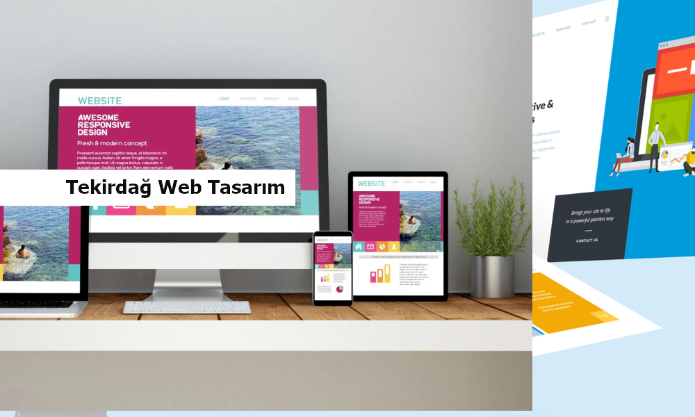 tekirdağ web tasarım